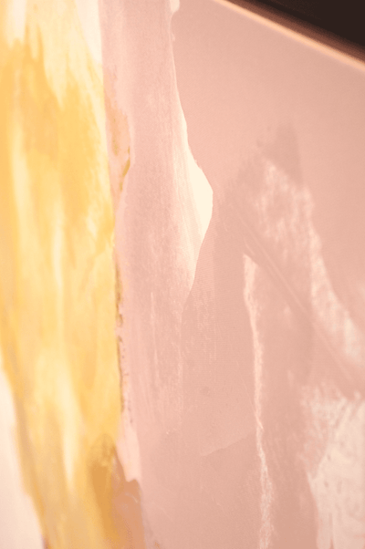 Lioness Black Frame 1100x1400