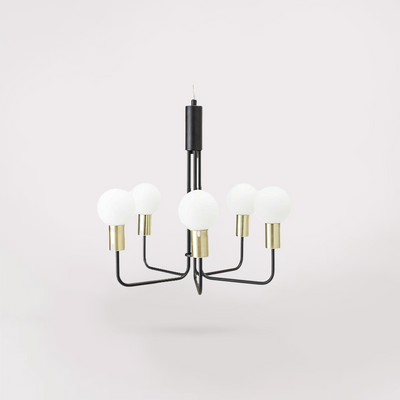 Delfina Pendant Light (Black & Brass)