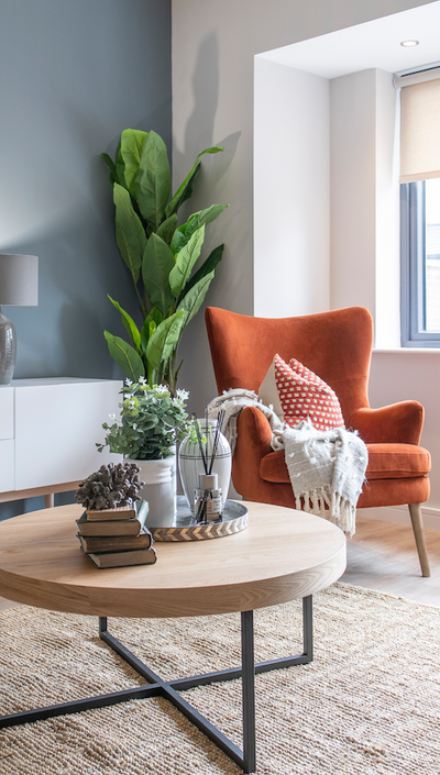 Hugo Armchair (Burnt Orange Velvet)